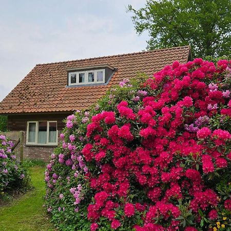 Holiday Home Countryside, Langbroek / Doorn Bagian luar foto