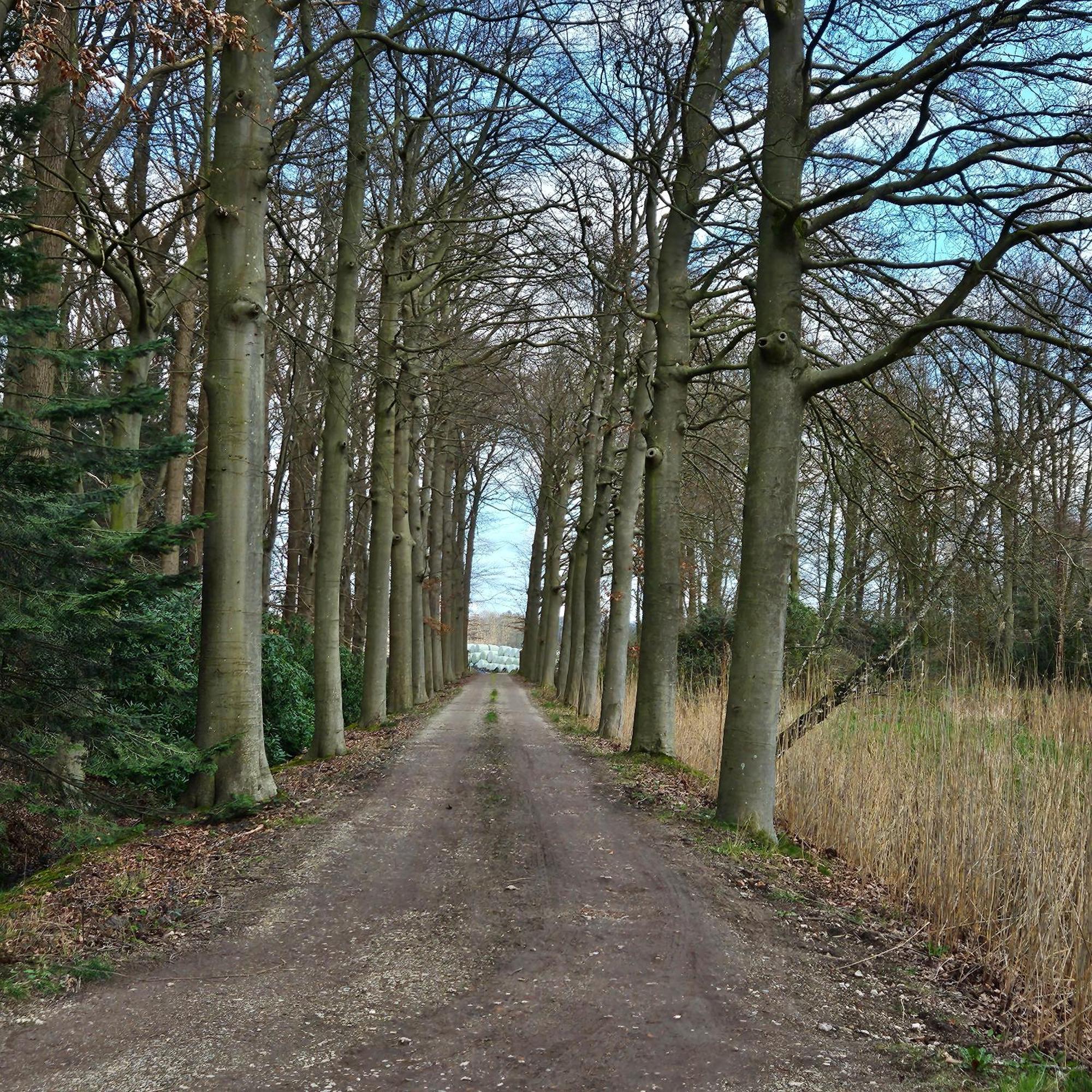 Holiday Home Countryside, Langbroek / Doorn Bagian luar foto