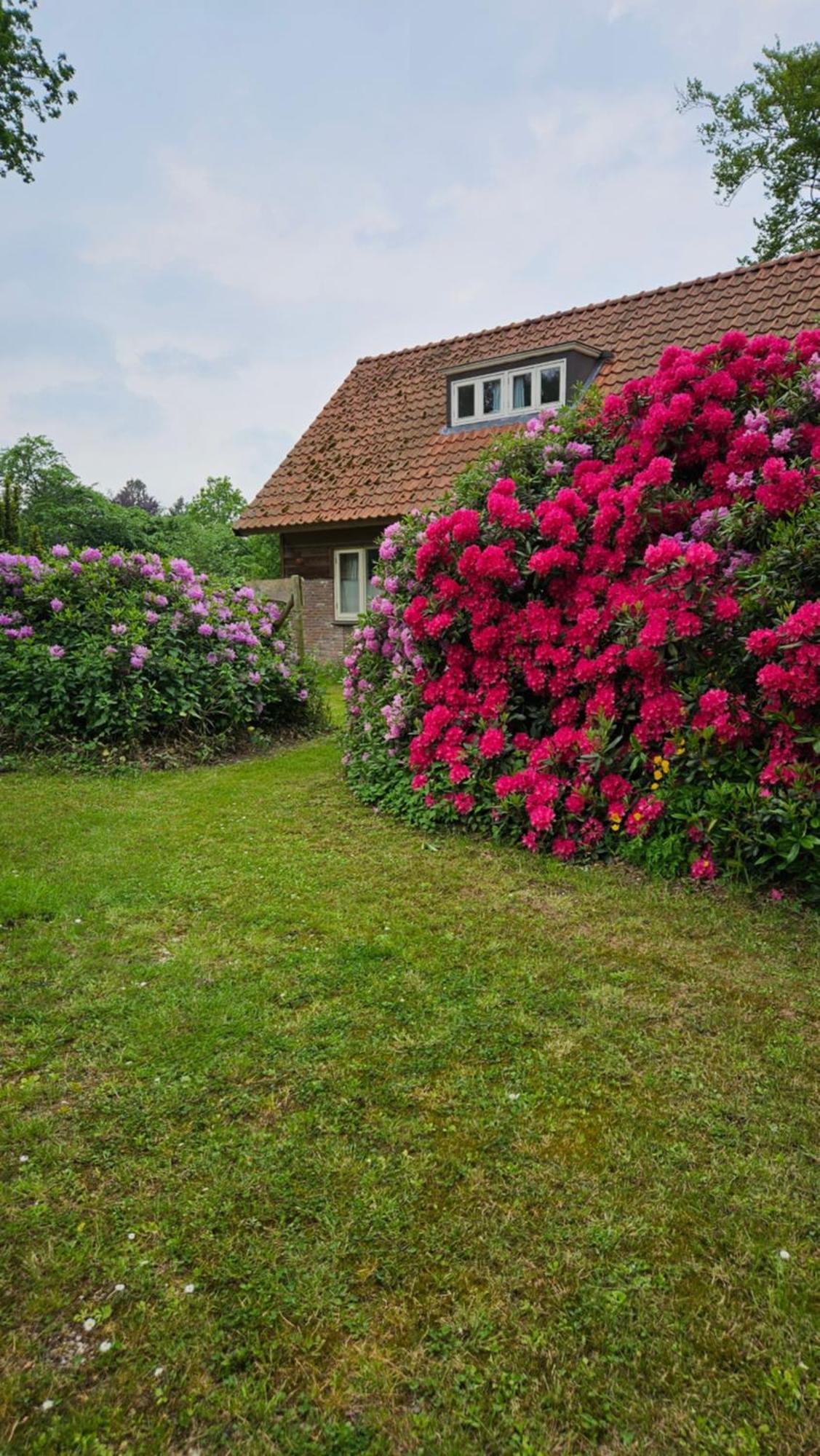 Holiday Home Countryside, Langbroek / Doorn Bagian luar foto