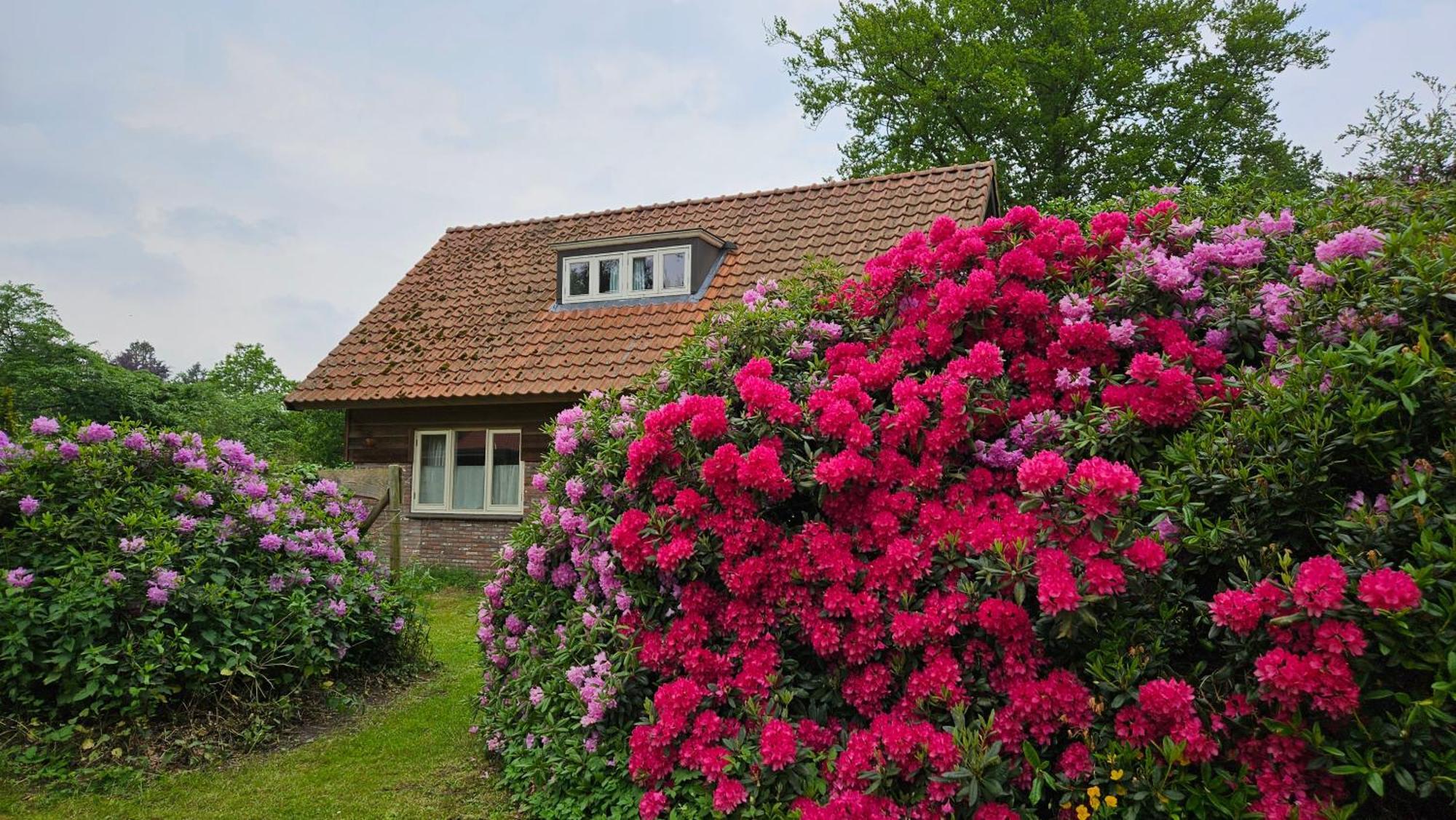 Holiday Home Countryside, Langbroek / Doorn Bagian luar foto